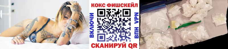 где найти наркотики  Эртиль  Cocaine Fish Scale 