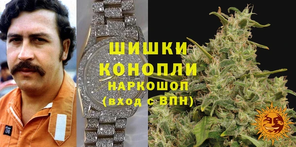 стаф Арсеньев