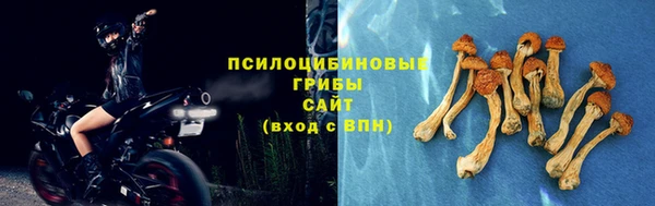 СК Армянск