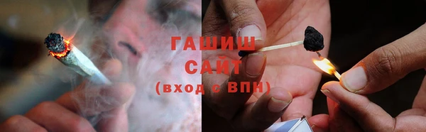 стаф Арсеньев