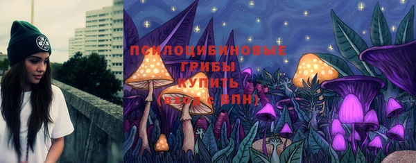стаф Арсеньев