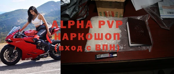 стаф Арсеньев