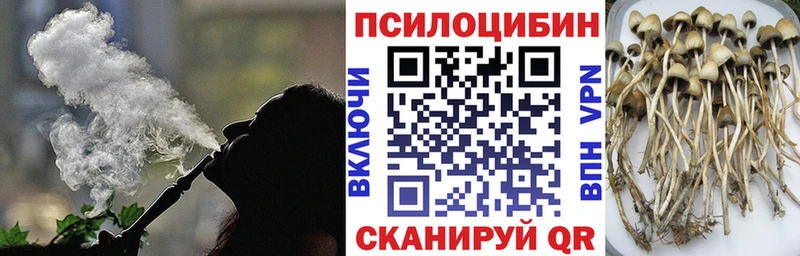 Псилоцибиновые грибы GOLDEN TEACHER Эртиль
